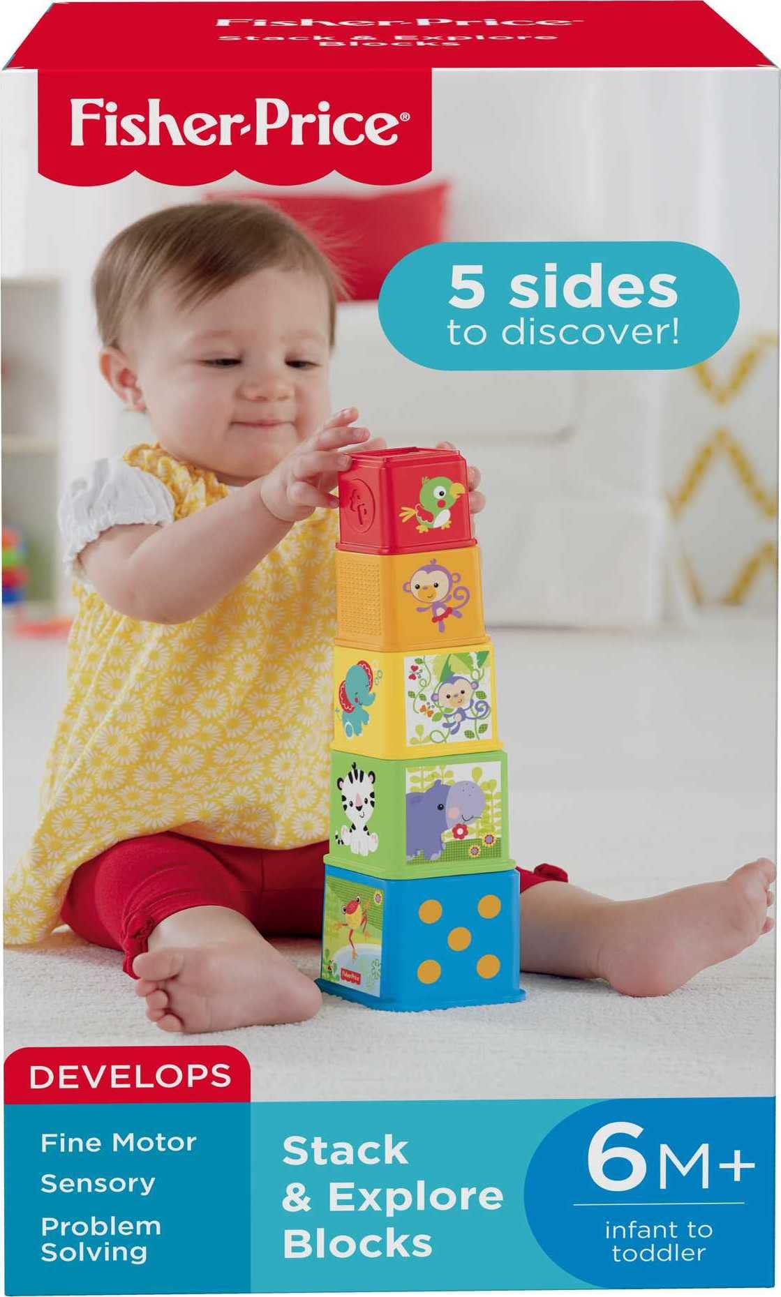 Fisher Price Stack & Explore Blocks