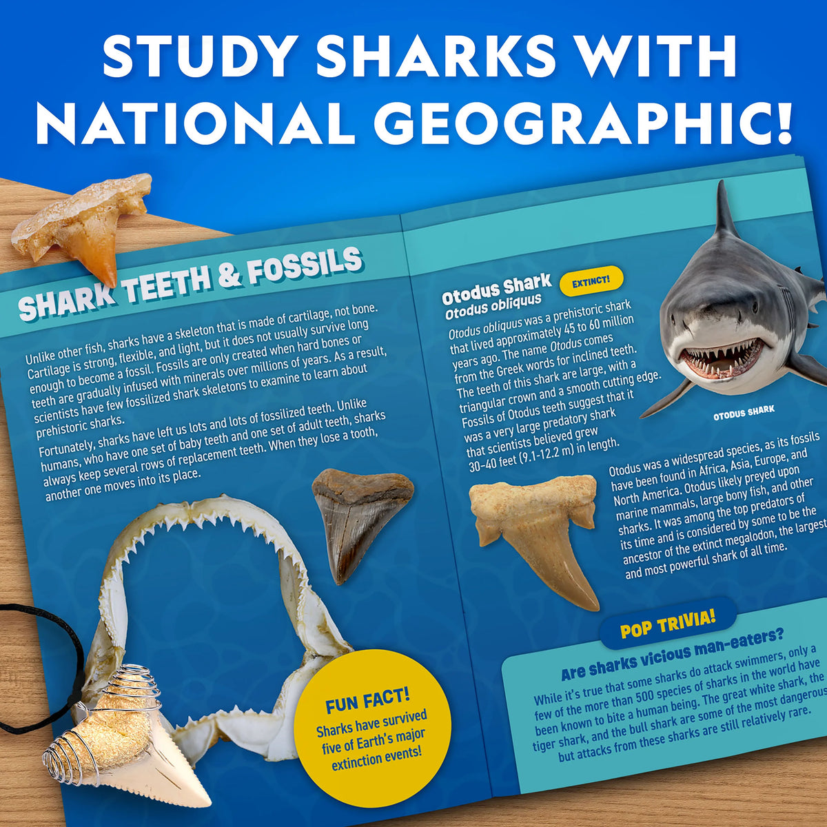 National Geographic Great White Shark Tooth Dig