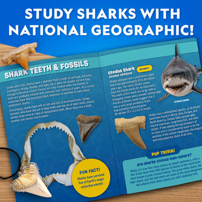 National Geographic Great White Shark Tooth Dig