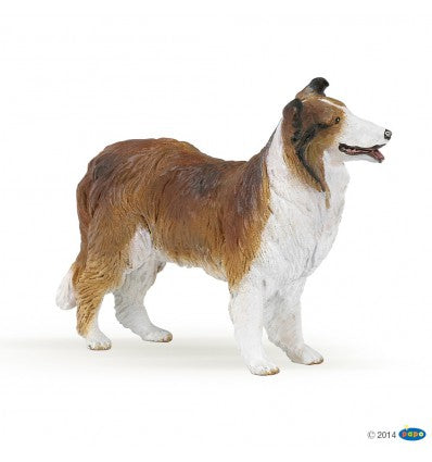 PAPO Dog And Cat Companions Collie