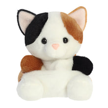Palm Pals Peebs Calico Cat 5"