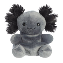 Palm Pals Onyx Axolotl 5"