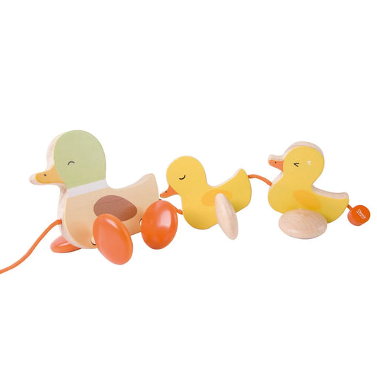 Pull Along Paddling Duck