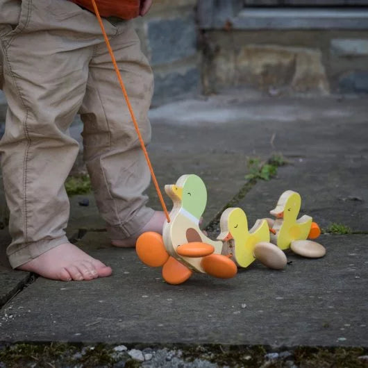 Pull Along Paddling Duck
