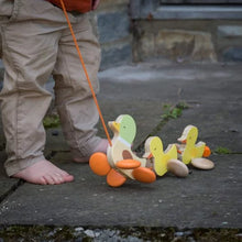 Pull Along Paddling Duck
