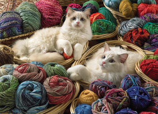 Ragdolls 1000 Piece Jigsaw Puzzle