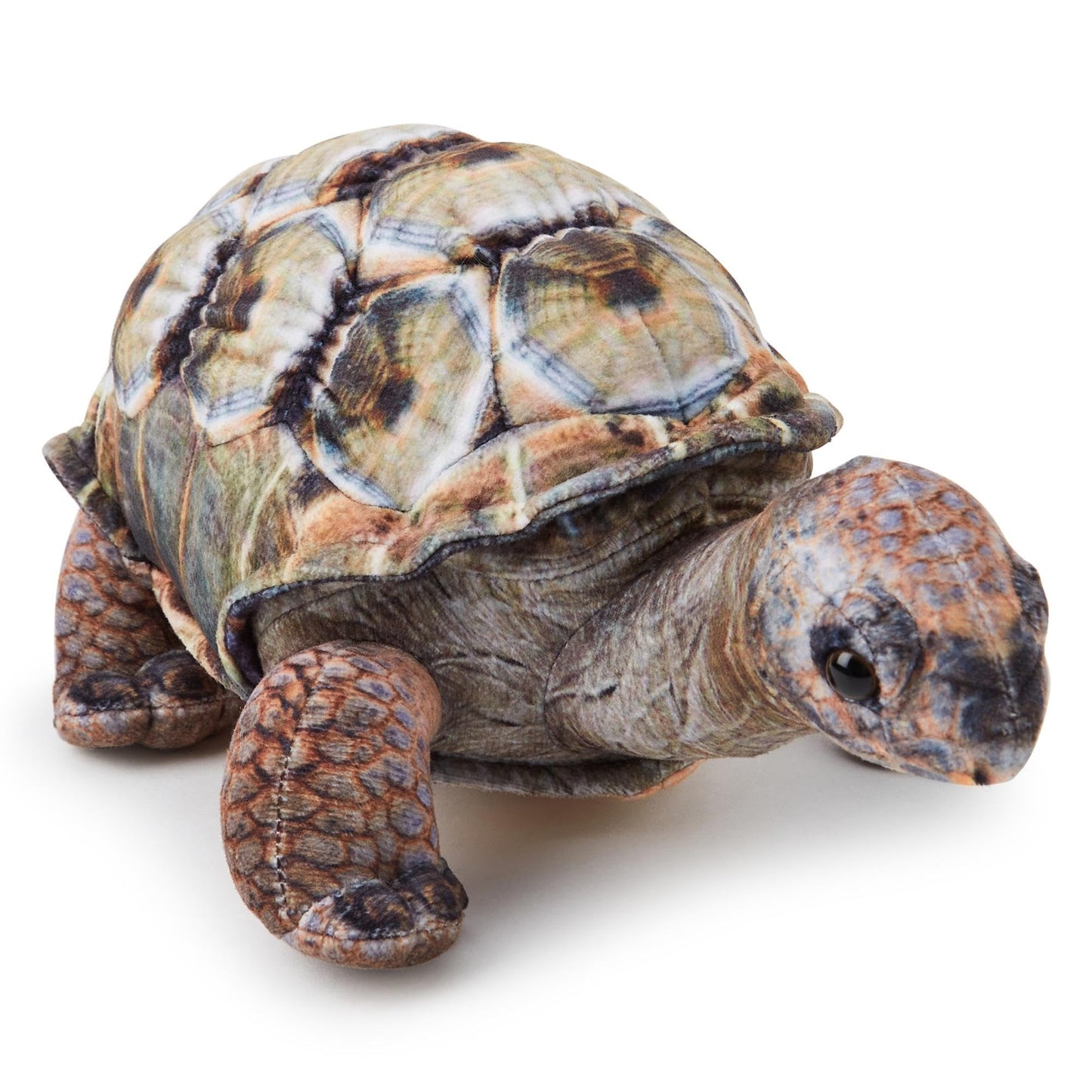 Aldabra Tortise 25cm Eco Soft Toy