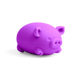 NeeDoh Dig It Pig