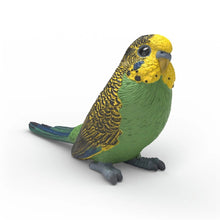 Schleich Budgie