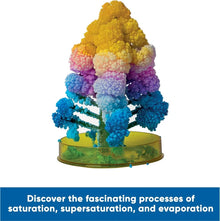 Science Museum Create Your Own Crystal Forest