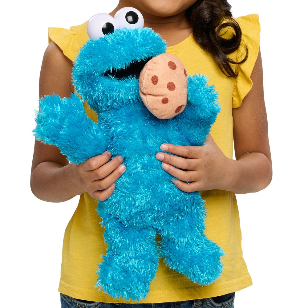 Sesame Street Cookie Monster