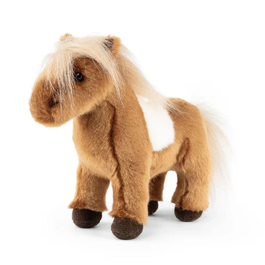 Shetland Pony Small Living Nature