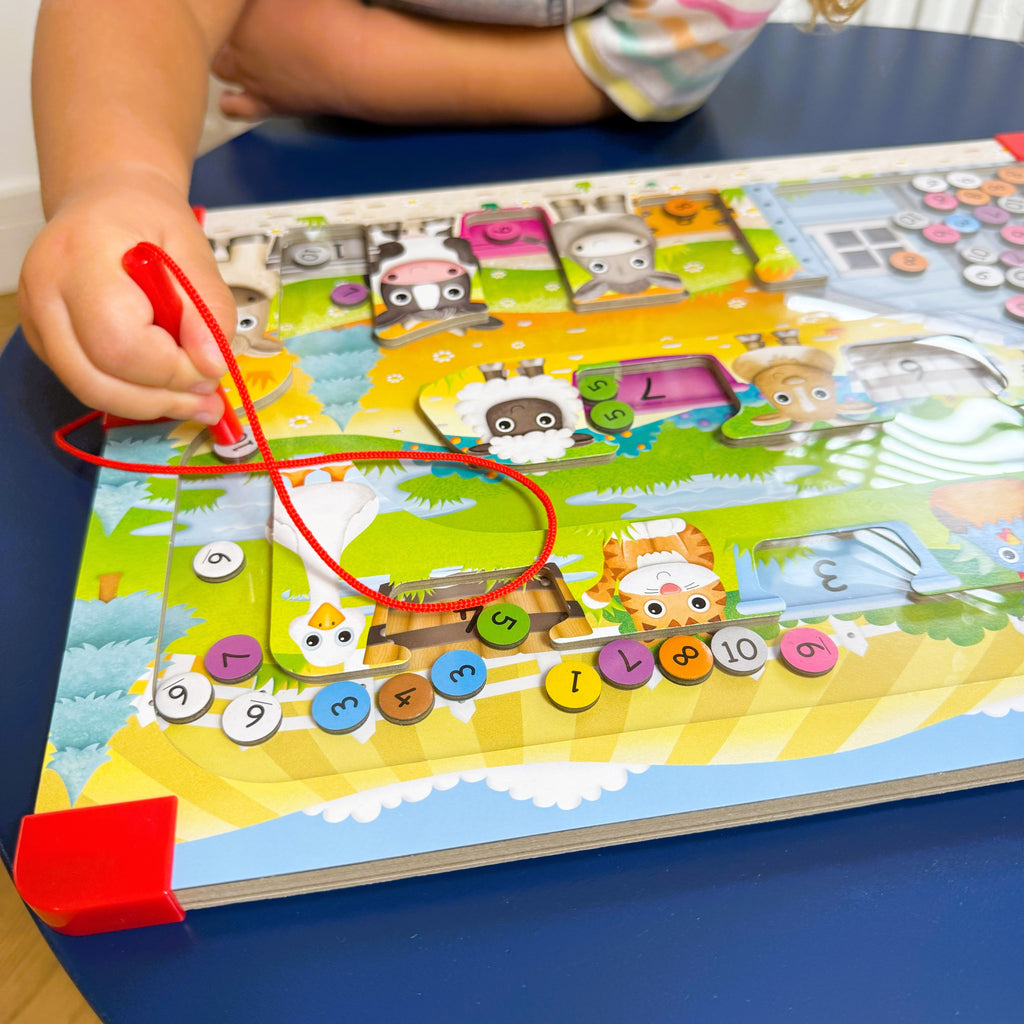 Sort & Learn Magnetic Puzzle Counting