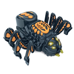 Spider Robot
