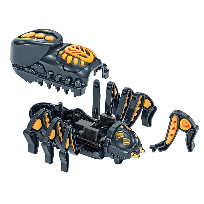 Spider Robot