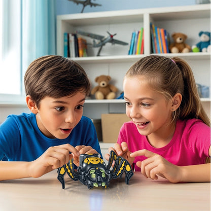 Spider Robot