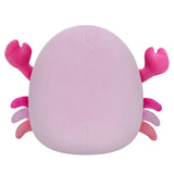 Squishmallows 7.5" Cailey Crab