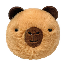 TY Barry Capybara  Bouncer