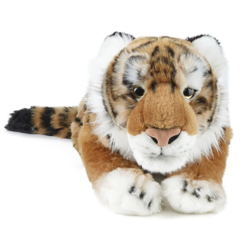 Tiger Large Living Nature