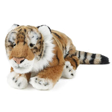 Tiger Large Living Nature