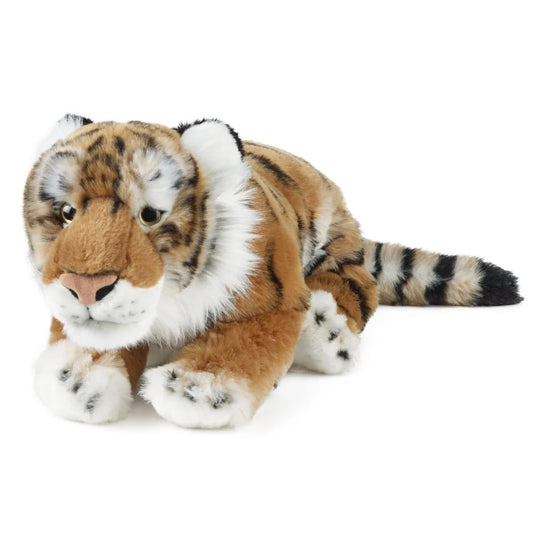 Tiger Large Living Nature