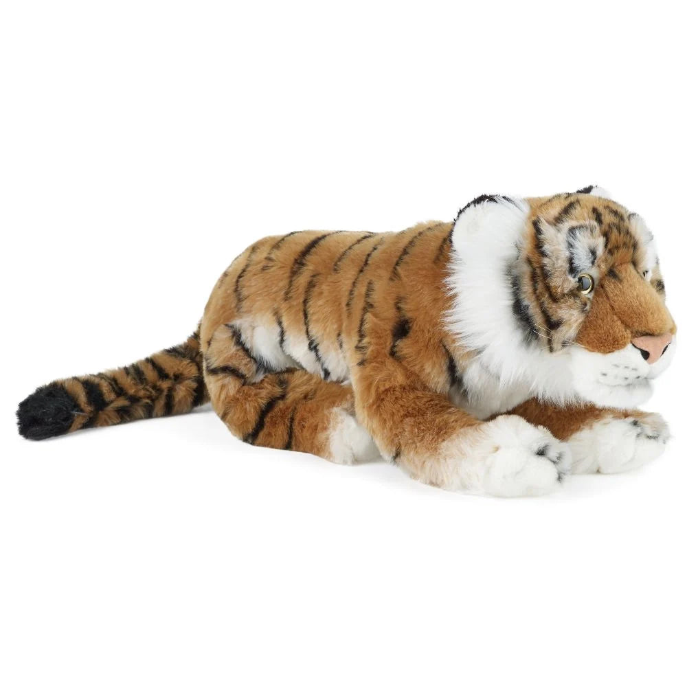 Tiger Large Living Nature