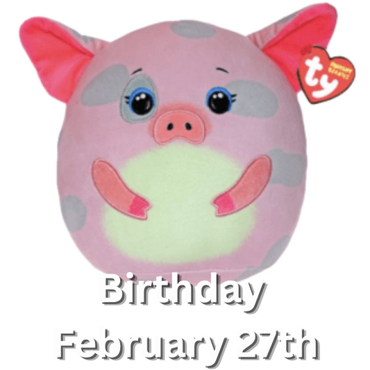 Ty Hambone Pig Squish A Boo