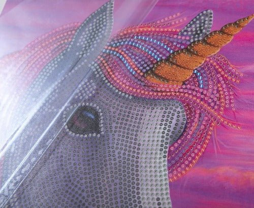 Unicorn 21x25cm Picture Frame