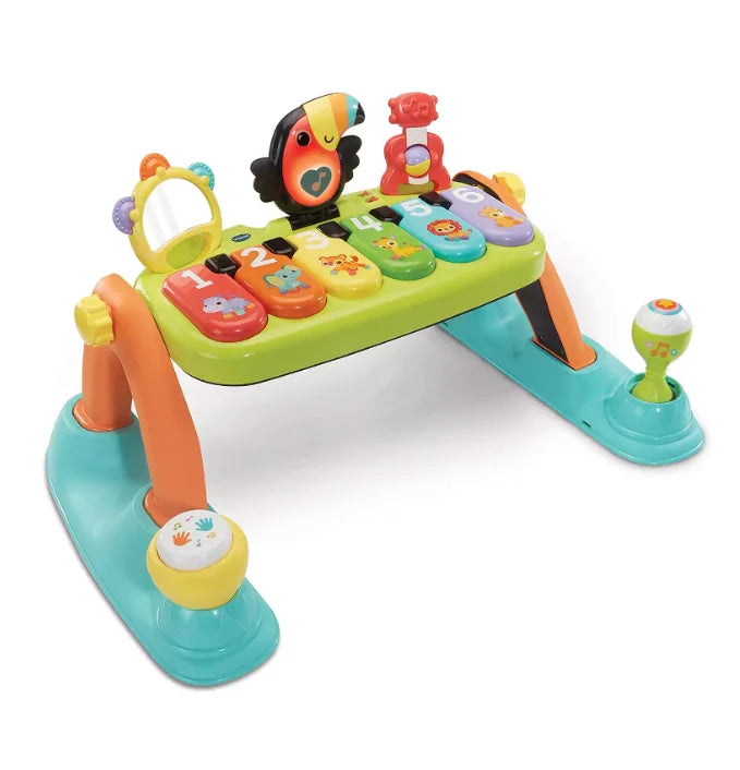VTech 5 in 1 Toucan Tunes Play Gym