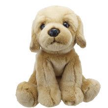 Wilberry Favourites Labrador