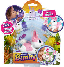 Lets Go Bunny