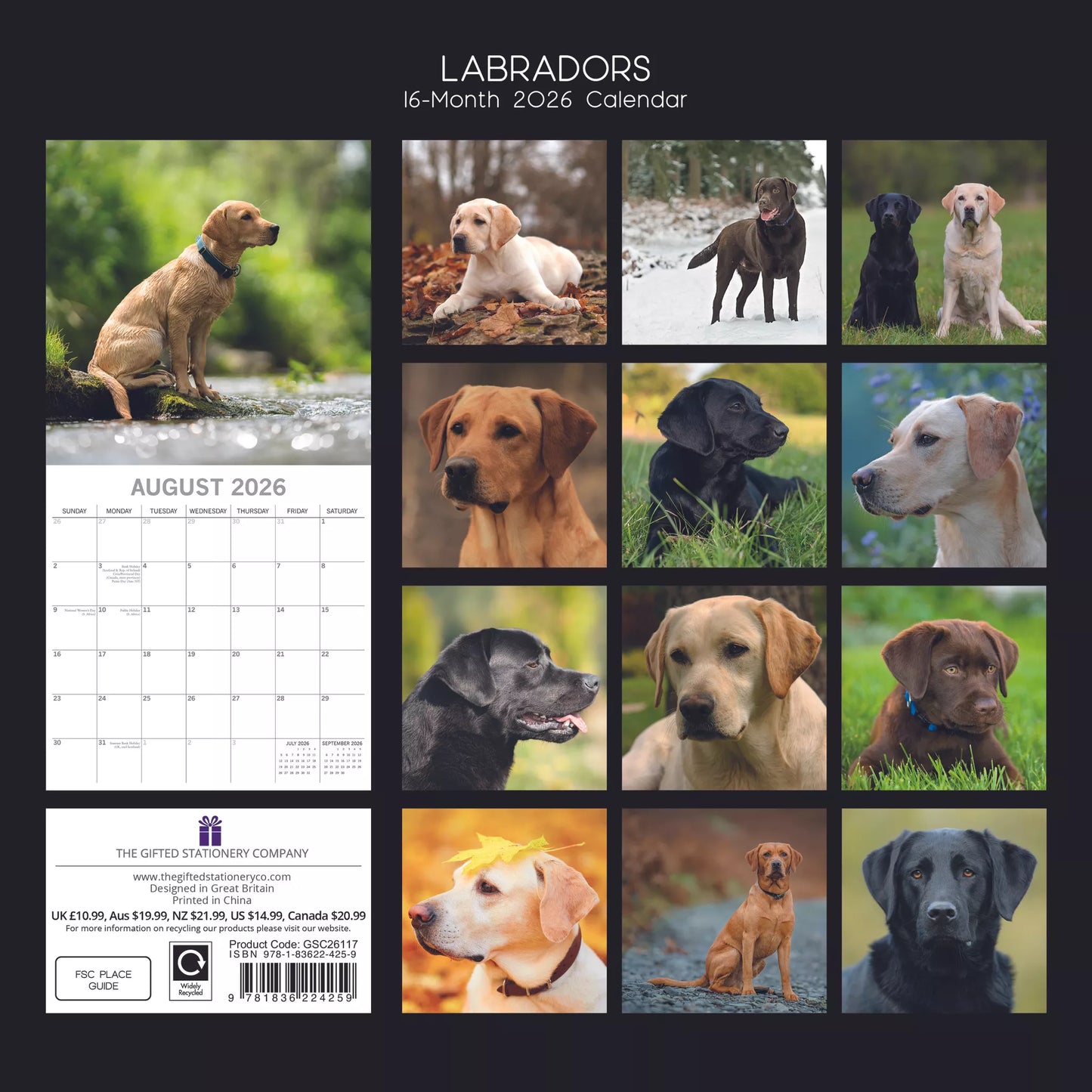 2026 Calendar Labradors