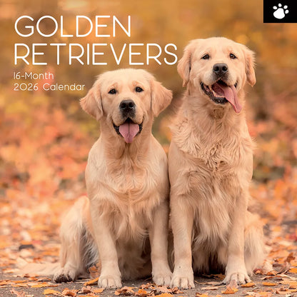 2026 Calendar Golden Retriever