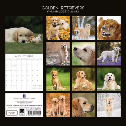 2026 Calendar Golden Retriever