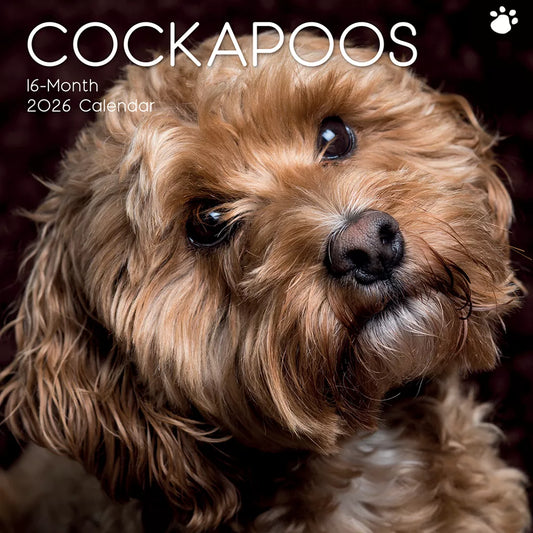 2026 Calendar Cockapoos