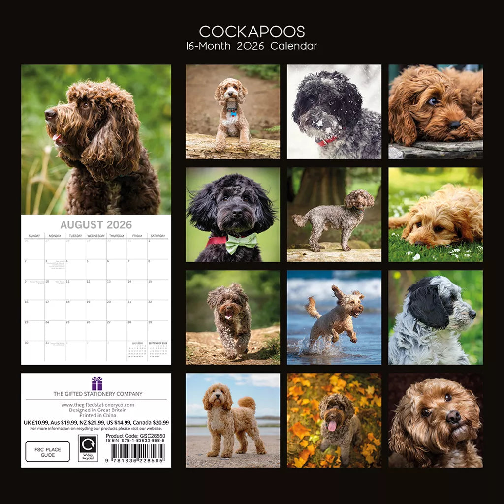 2026 Calendar Cockapoos