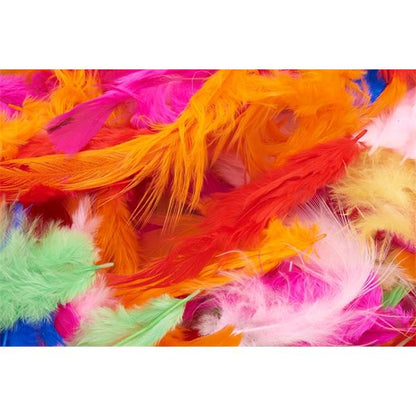 Feathers Asst Bright 7G