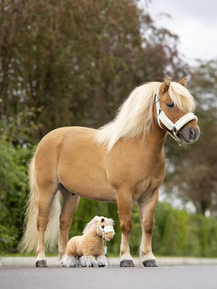 Cloudy Le Mieux Toy Pony