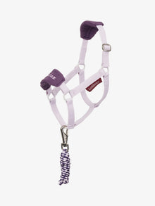 Hobby Horse Lilac Vogue Head Collar