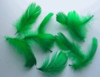 Feathers Green 200pk 7cm