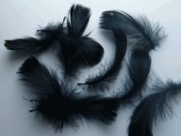Feathers Black 200pk 7cm