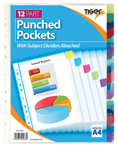 Punched Pockets 12 Part Subject Dividers
