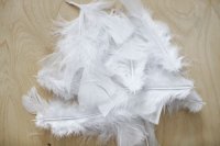 Feathers White 200pk 7cm