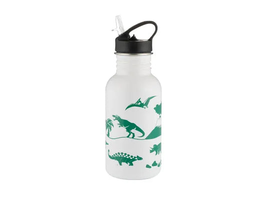 550ml Dinosaur Colour Changing Drinks Bottle