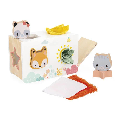 Janod Shape Sorter & Fabric