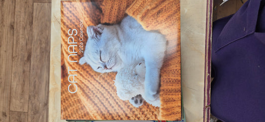 2026 Calendar Cat Naps