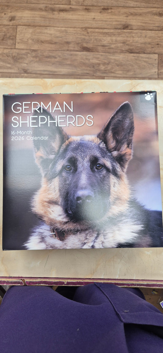 2026 Calendar German Sheperds