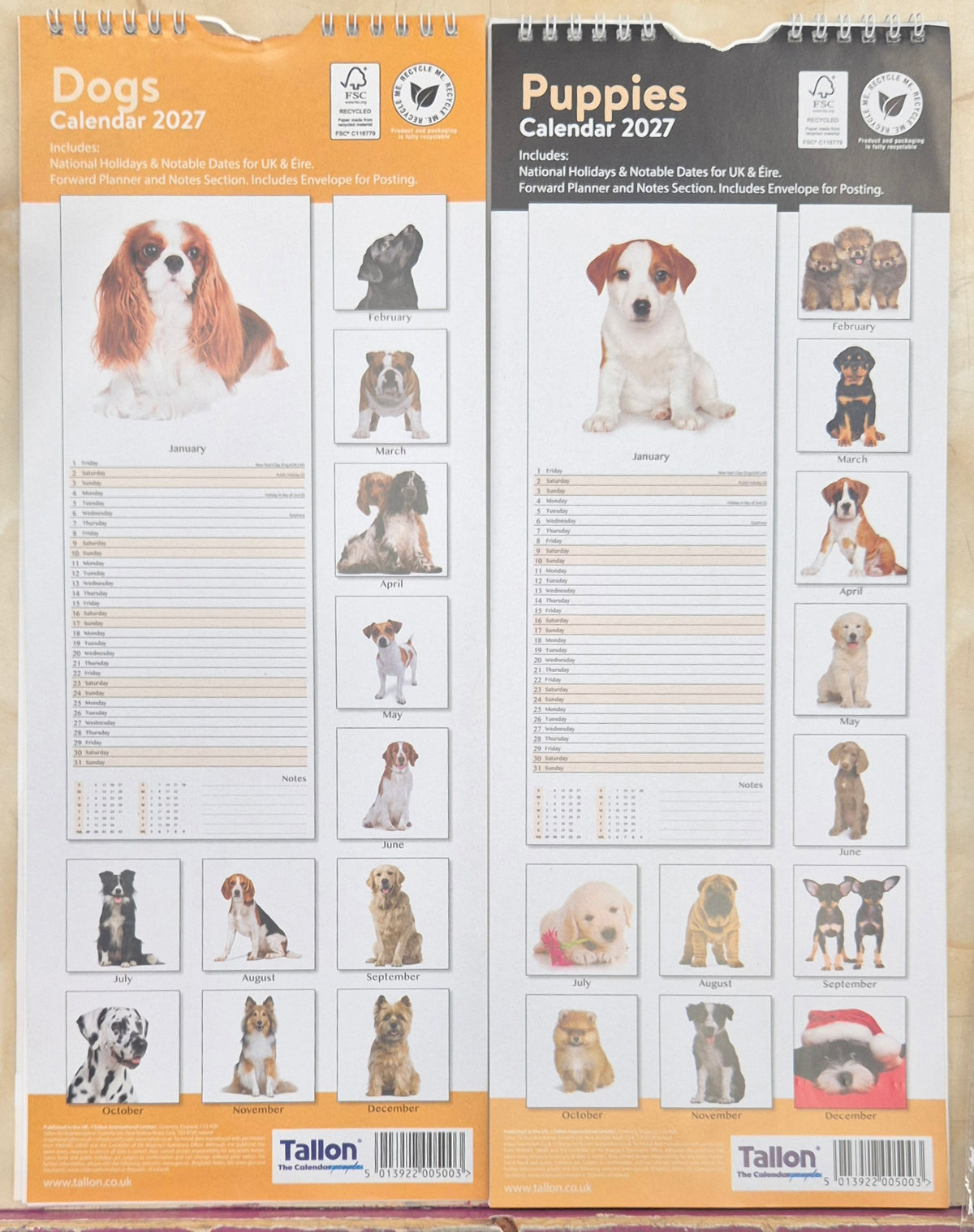 2027 Calendar Dogs/Puppies