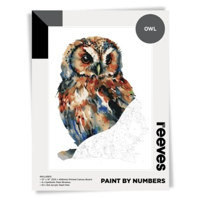 Reeves Paint by Numbers Owl