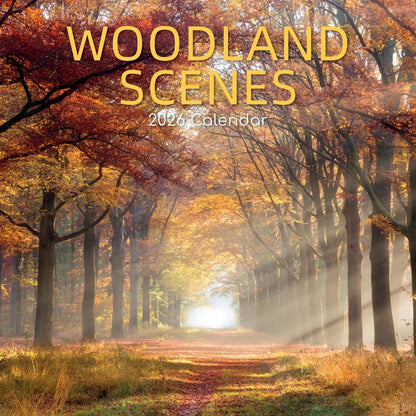 2026 Calendar Woodland Scenes